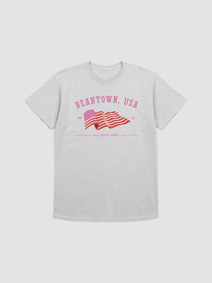 beantown, usa tourist shirt [pink] product image (2)
