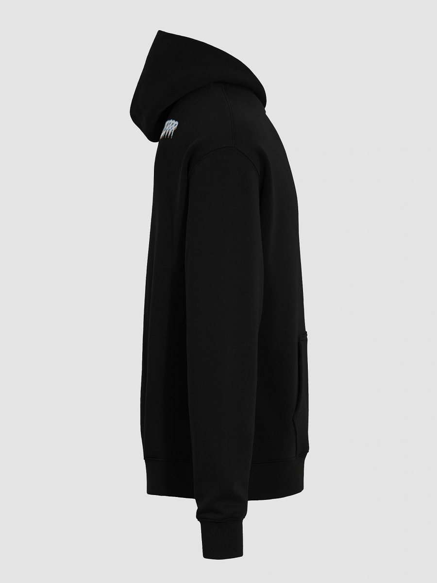 Brainfreezerrr Hoodie product image (16)