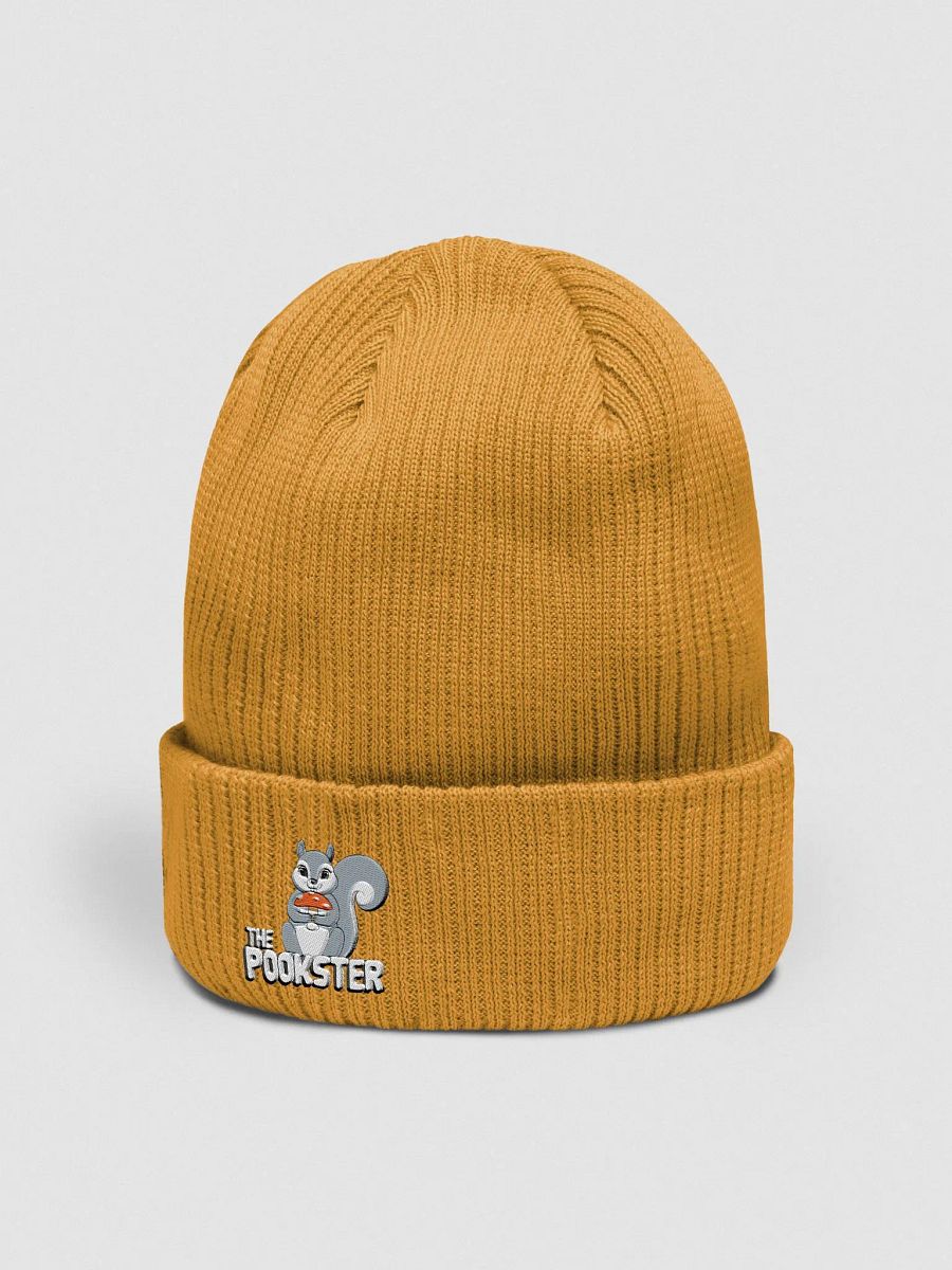 Organic Cotton Embroidered Beanie: The Pookster! product image (2)