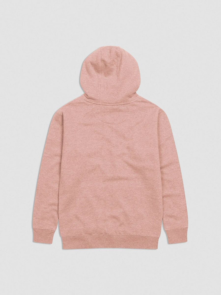 Bubbly and a B*tch (pink bubble design) embroidered heavyweight hoodie product image (3)