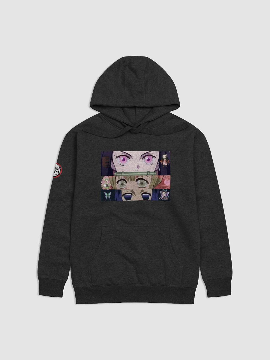 DS product image (1)