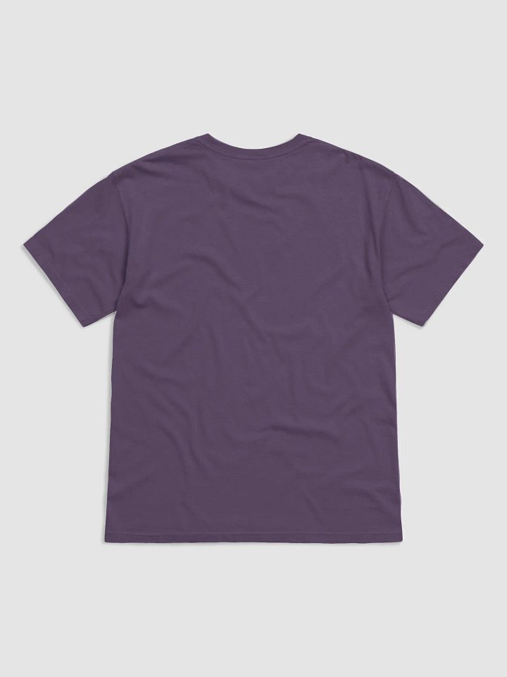 The Cemetery Wanderer Raven's Rest Gothic T-Shirt product image (22)