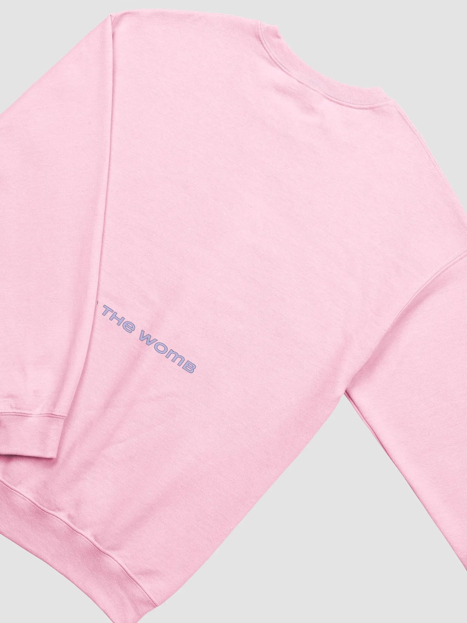 RTW Crewneck product image (4)