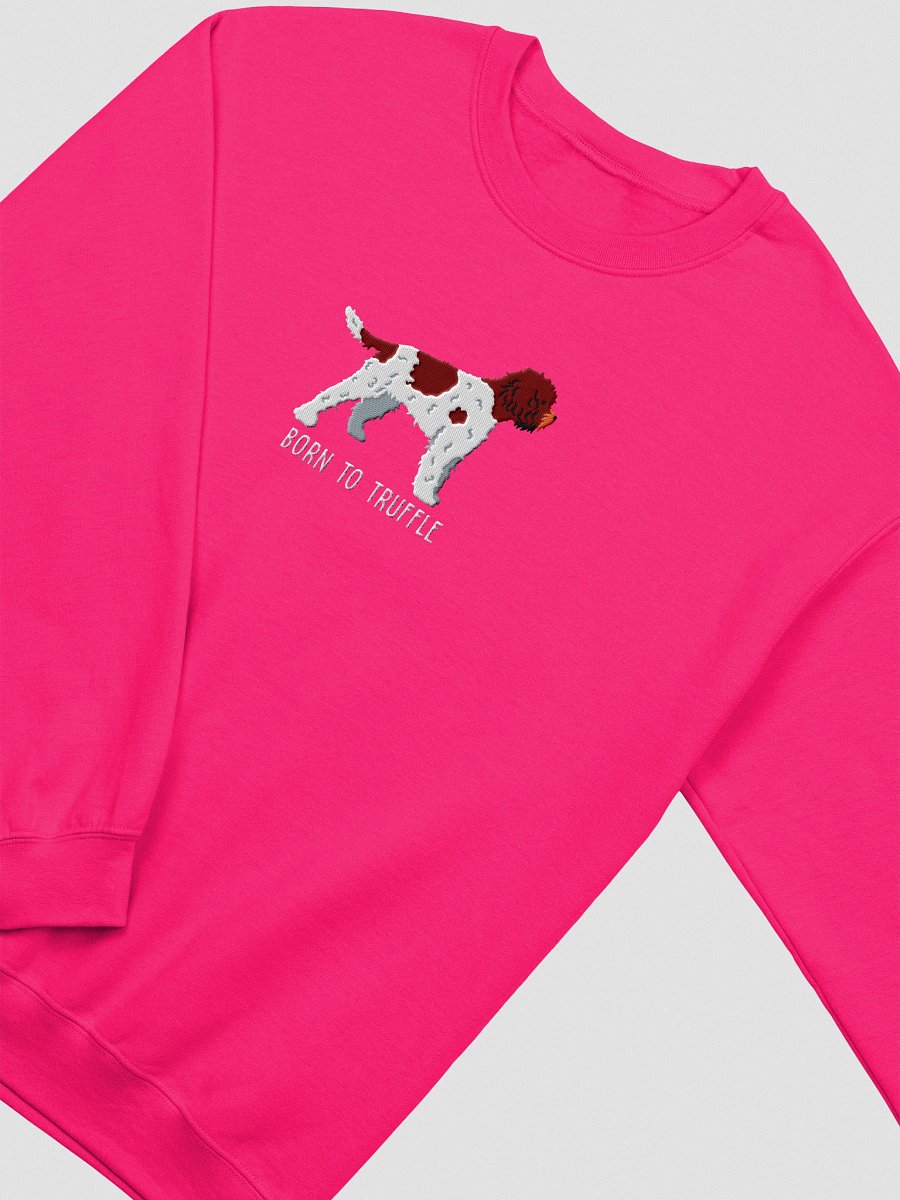 Born to Truffle Sweatshirt (Embroidered) of a Lagotto Romagnolo(Liver & White) product image (15)