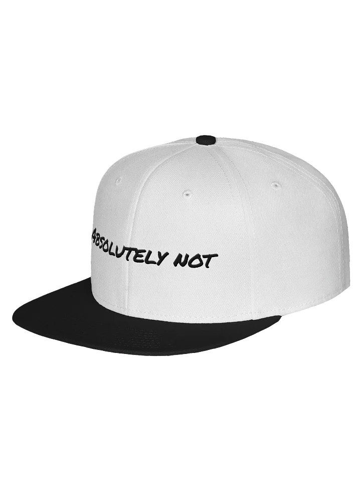 Absolutely Not Snapback product image (6)