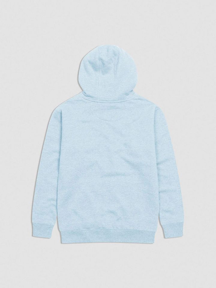 Whole Hoodie - Blue Logo product image (14)