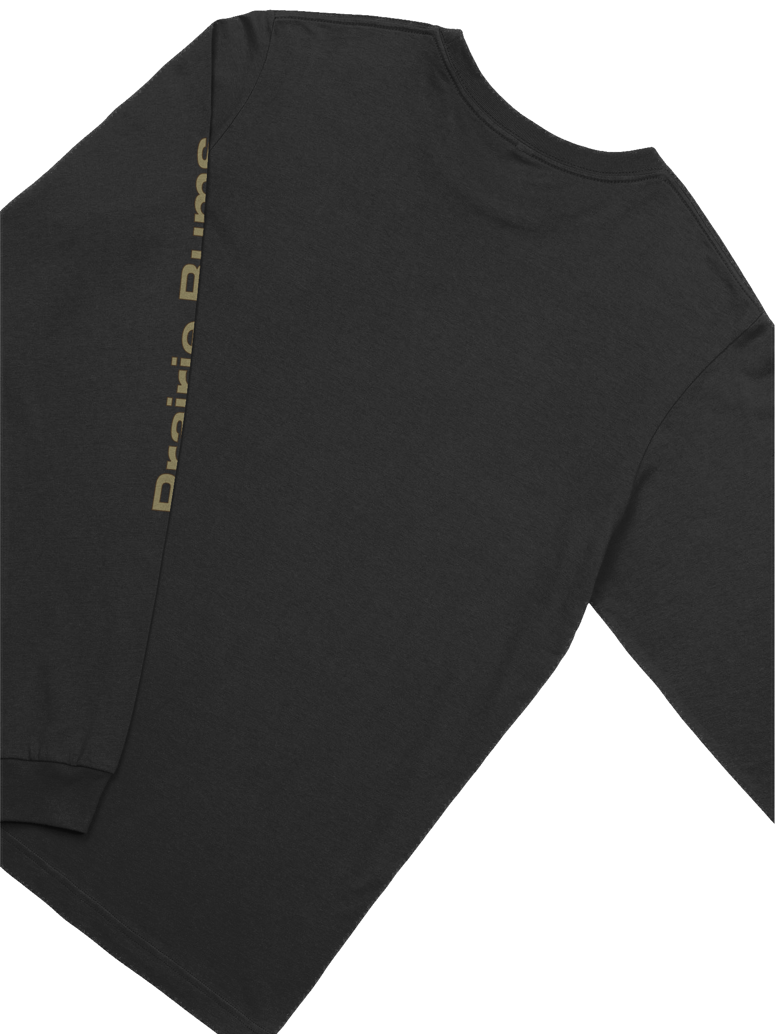 Earth Logo Long Sleeve DTS product image (4)