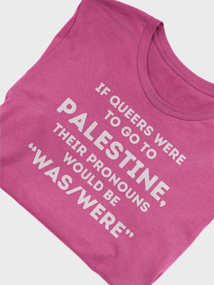 Queers for Palestine Shirt product image (50)