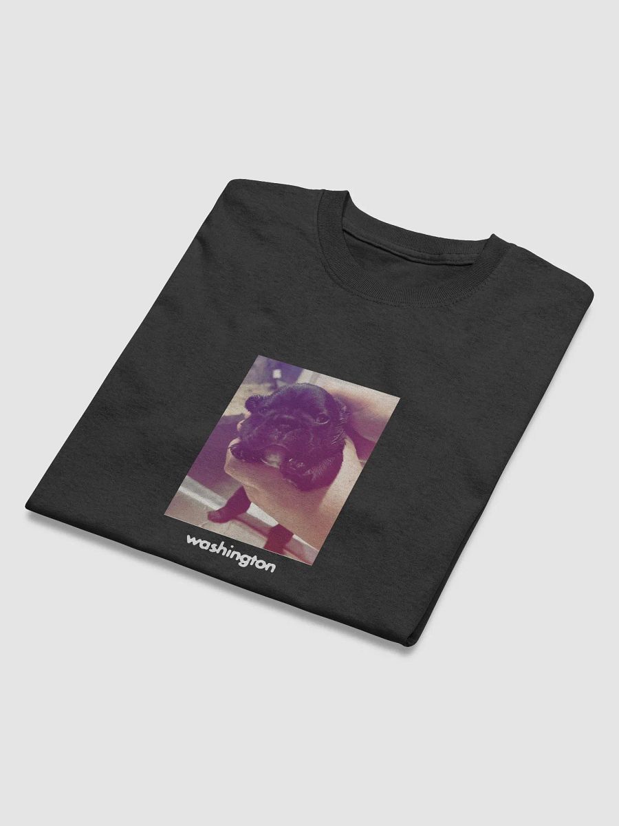 WASHINGTON TEE product image (4)