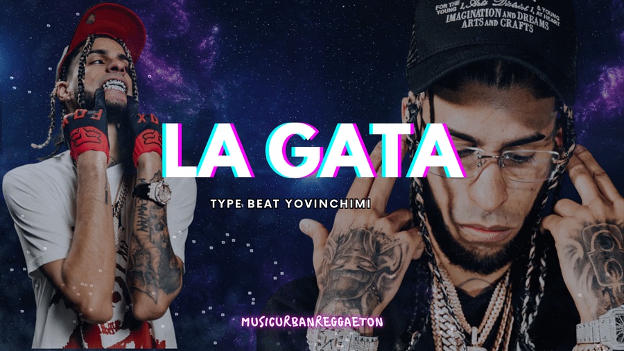 Type Beat Sound Yovngchimi - La Gata MP3 SESSION #7 - FREE product image (2)