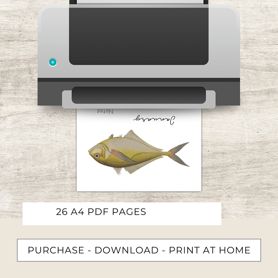 2025- 2026 PDF Calendar: Ocean Life product image (8)