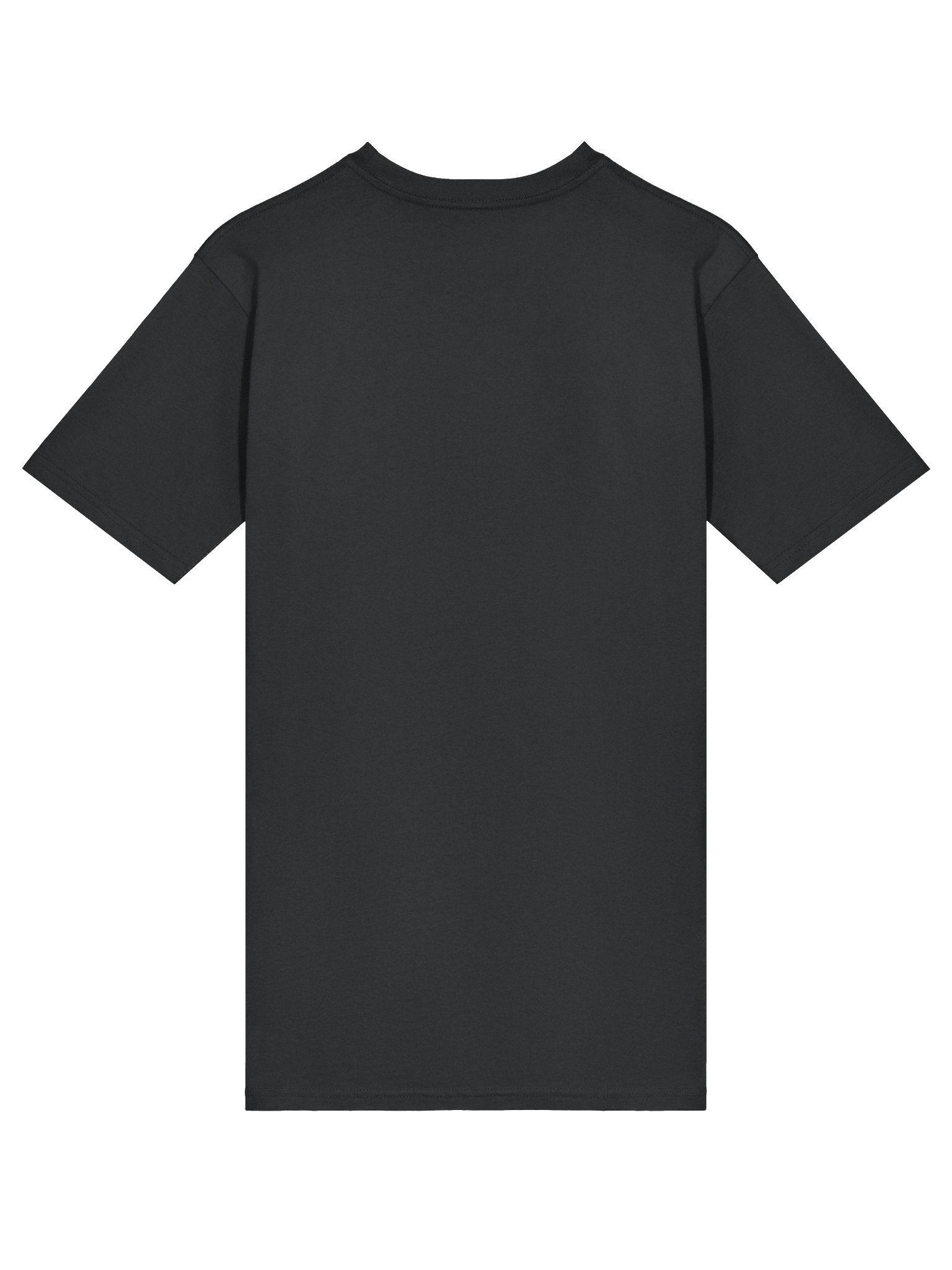 CE Inspiration Heavyweight Tee product image (20)