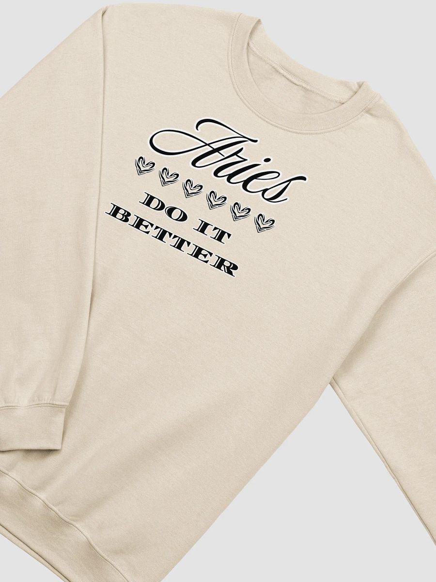 Aries Do It Better Crewneck Sweatshirt product image (16)