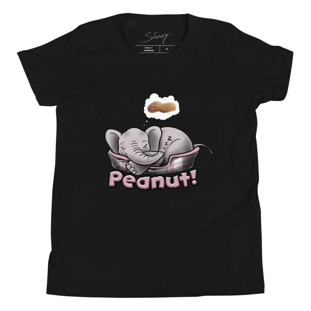 Sleepy Peanut - SFA Youth T-Shirt product image (1)