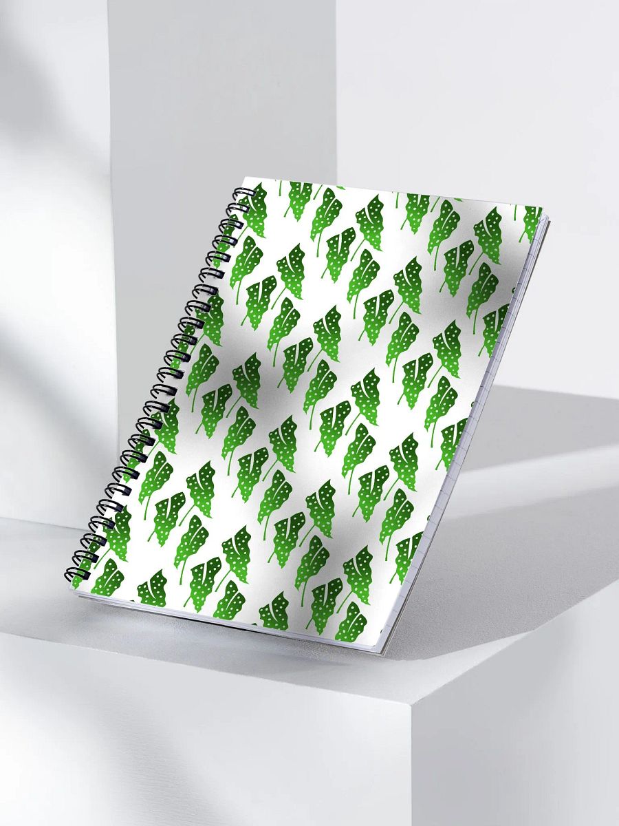 Begonia Maculata Print product image (3)