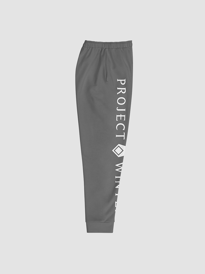 Project Winter Men's Joggers (Gray) product image (2)
