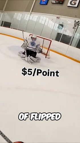 $5 for Every Point 👀🤑 #hockey #charity