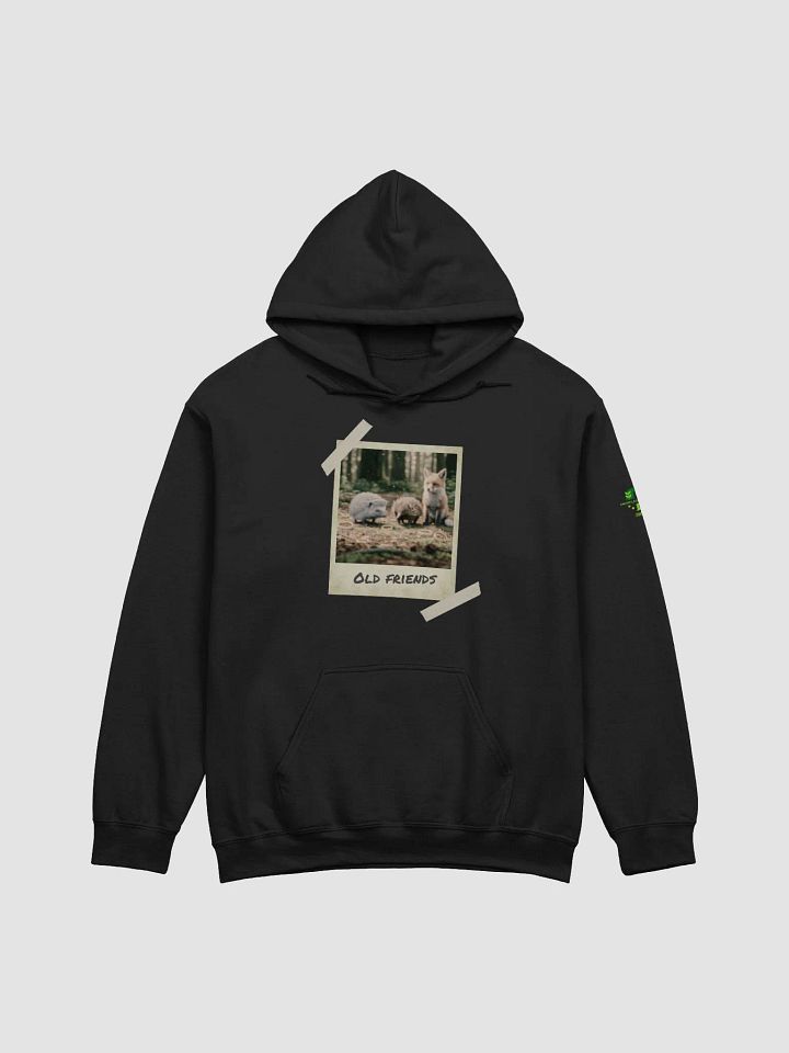 Old Friends - Hedgehog, Echidna and Fox, Polaroid Photo Hoodie product image (5)