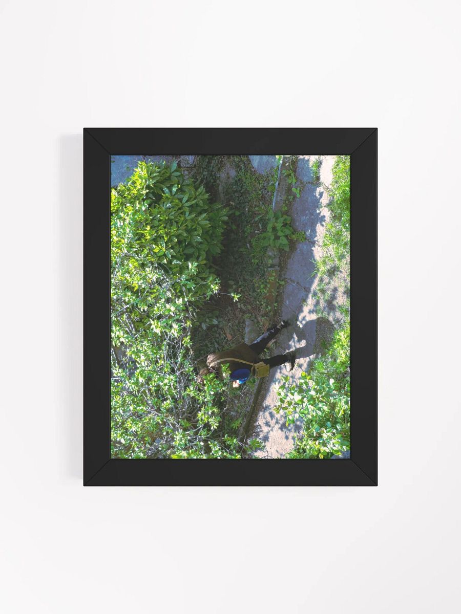 Enchanted Pathway Framed Matte Poster product image (76)