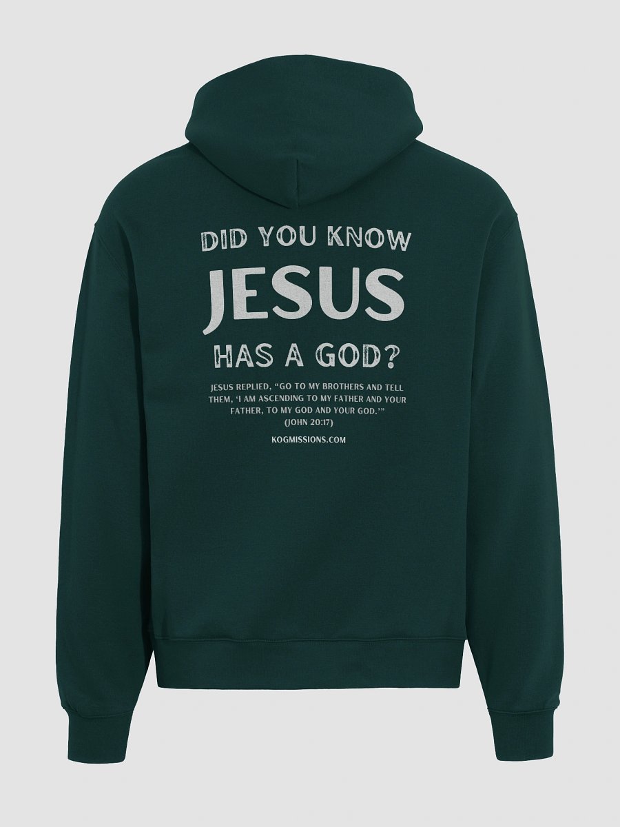 Jesus Has a God Premium Oversized Hoodie product image (13)