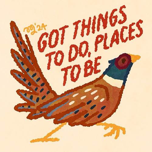 Make way for a very busy fancy chicken!

We had a pheasant outside our home for the last months and I loved watching him bein...