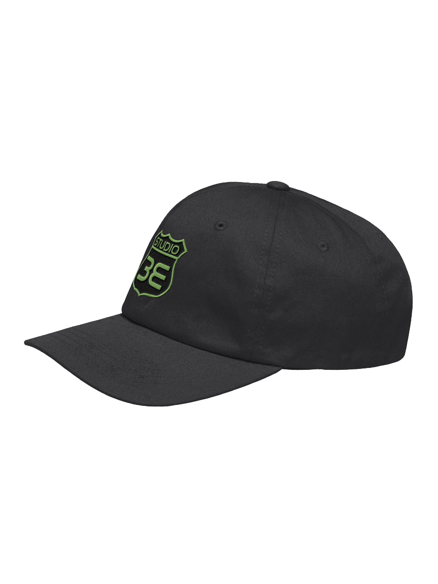 Studio 3E Green Dad Hat product image (2)