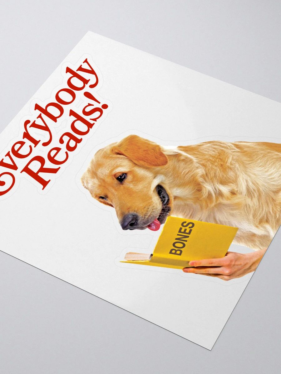 Everybody Reads: The Sticker product image (3)
