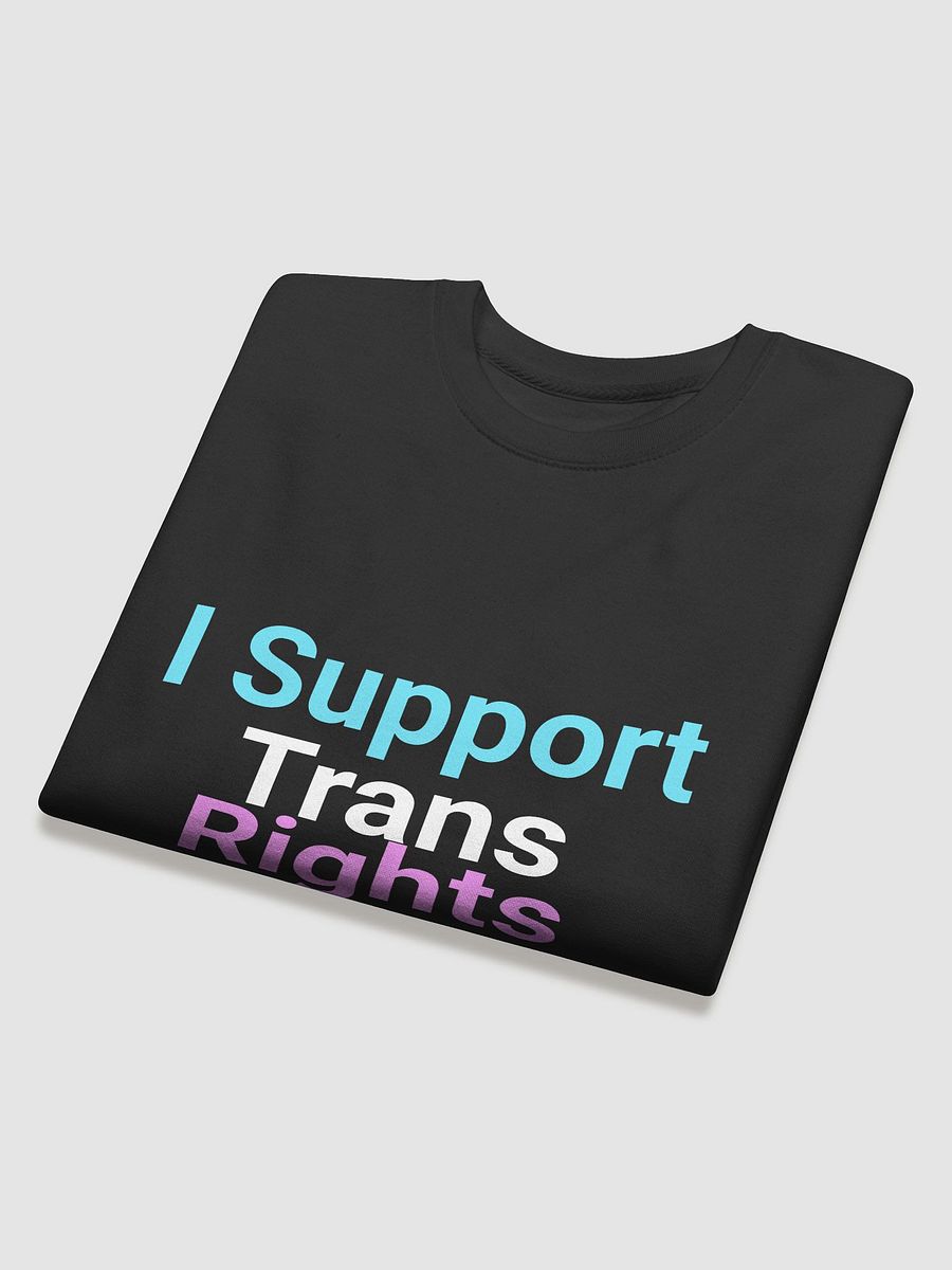 I Support Trans Rights Sweatshirt product image (16)