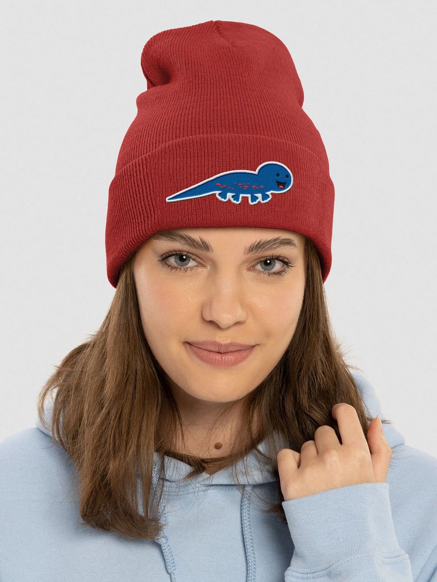 Salamander Beanie product image (3)