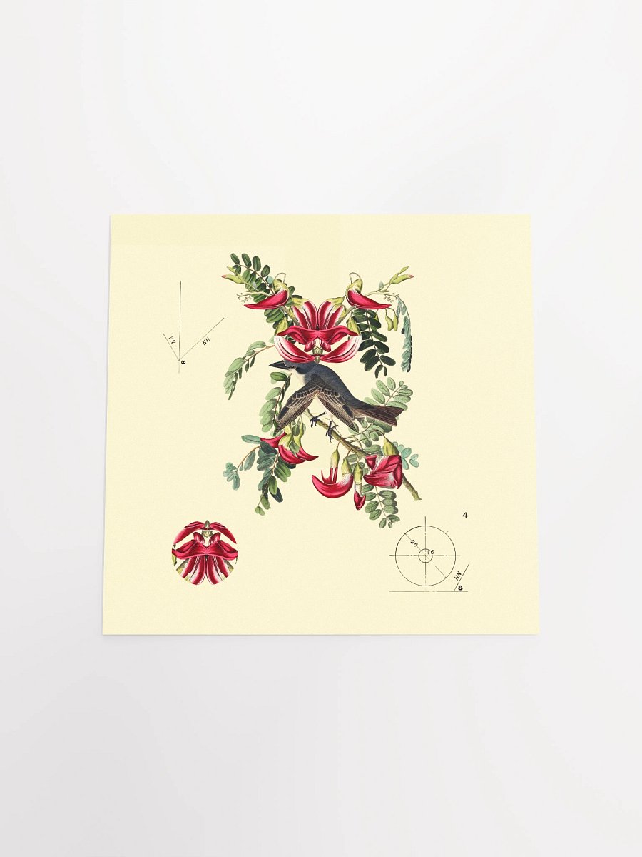 Bird Botanical Dadaism Poster product image (8)
