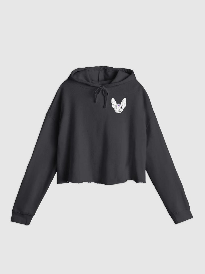 LUCIEN graphic crop hoodie product image (2)