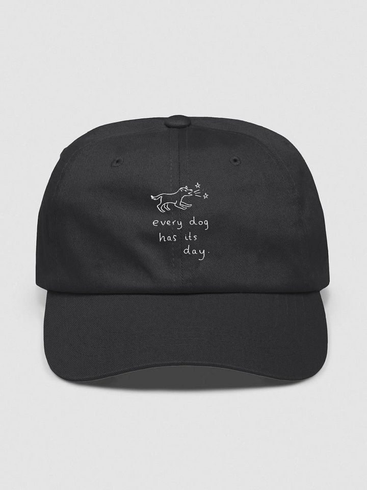 Exclusive Embroidery Cap product image (2)