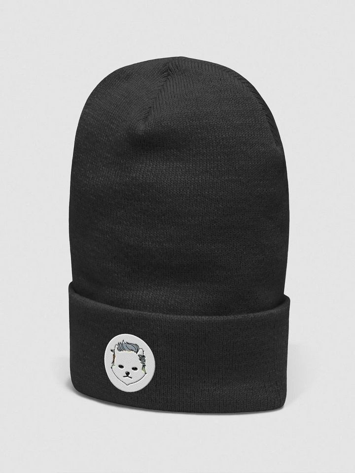 SKULLY product image (2)