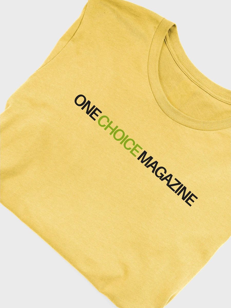 Healing Journey T-shirt by One Choice Magazine product image (5)