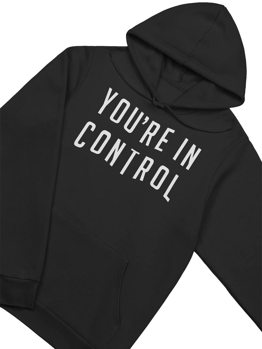 You're In Control Hoodie product image (3)