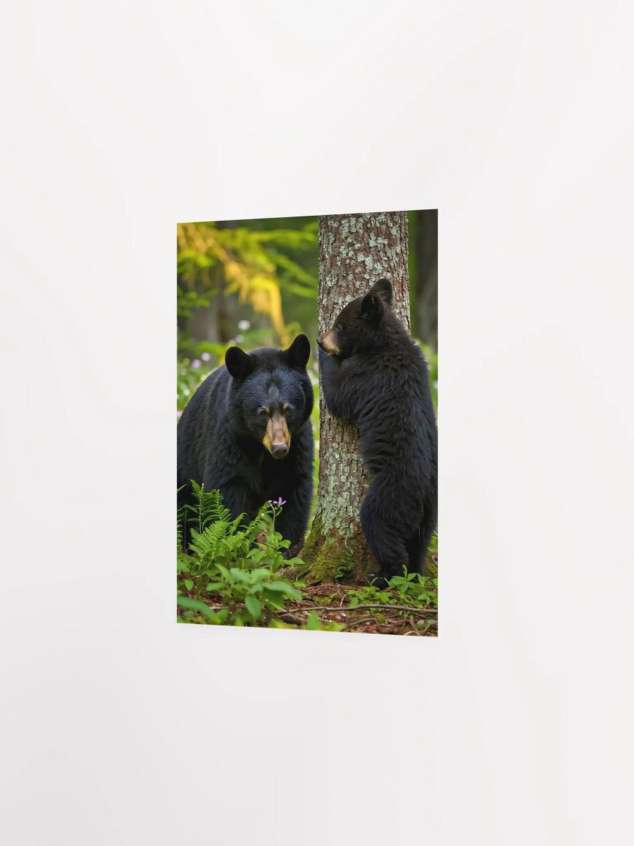 Forest Fun - Black Bears Hide and Seek Poster product image (2)