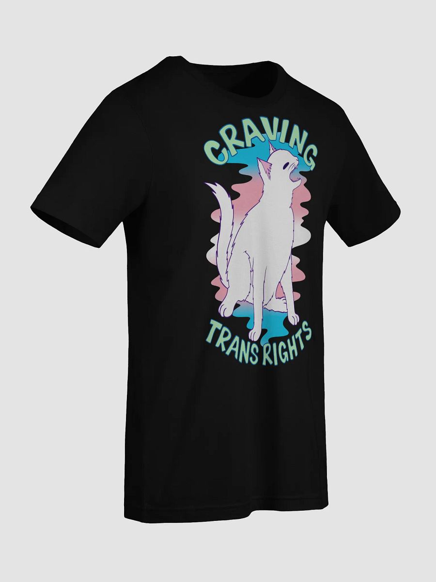 Happy Pride: Transgender T-shirt product image (79)