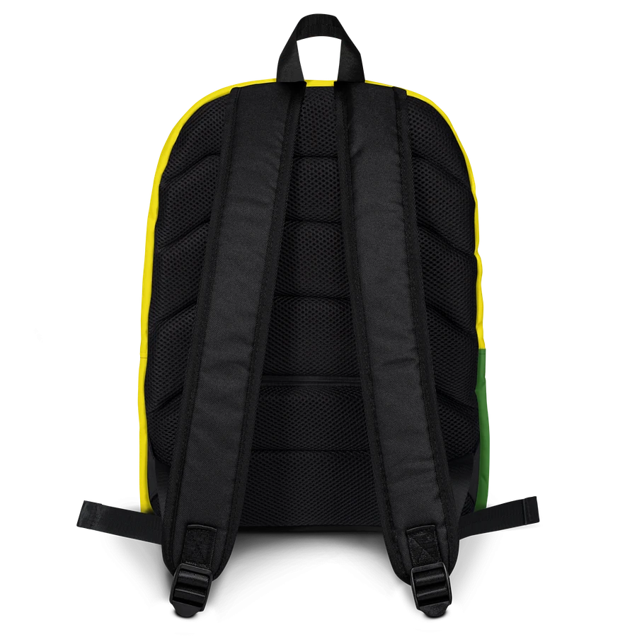 Albarracin Barcode Pride Backpack [00007] product image (8)