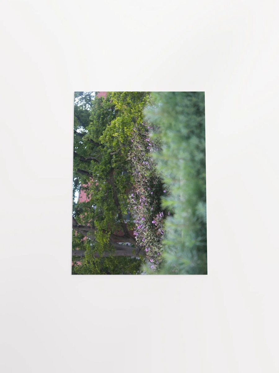 A Study in Flowers 17 product image (39)