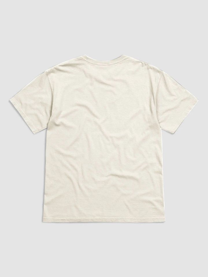 HAM Comfort Colors Garment-Dyed Heavyweight T-Shirt product image (14)