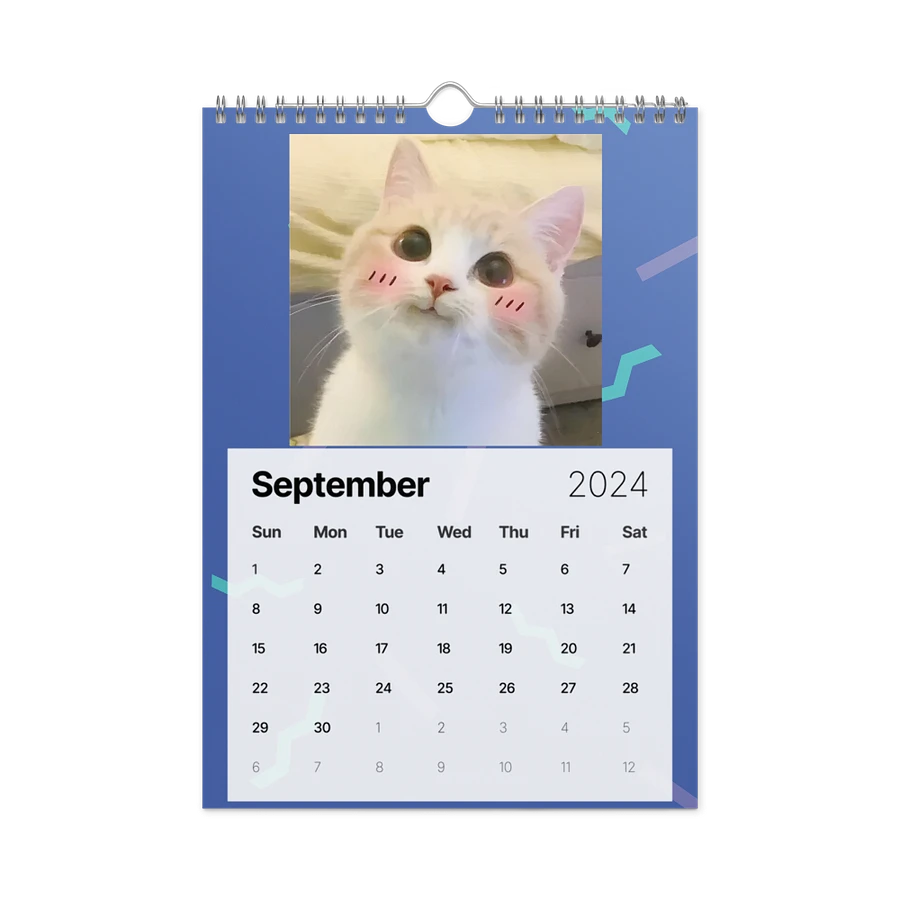 Wall Calendar (2024): Meme Cats product image (18)