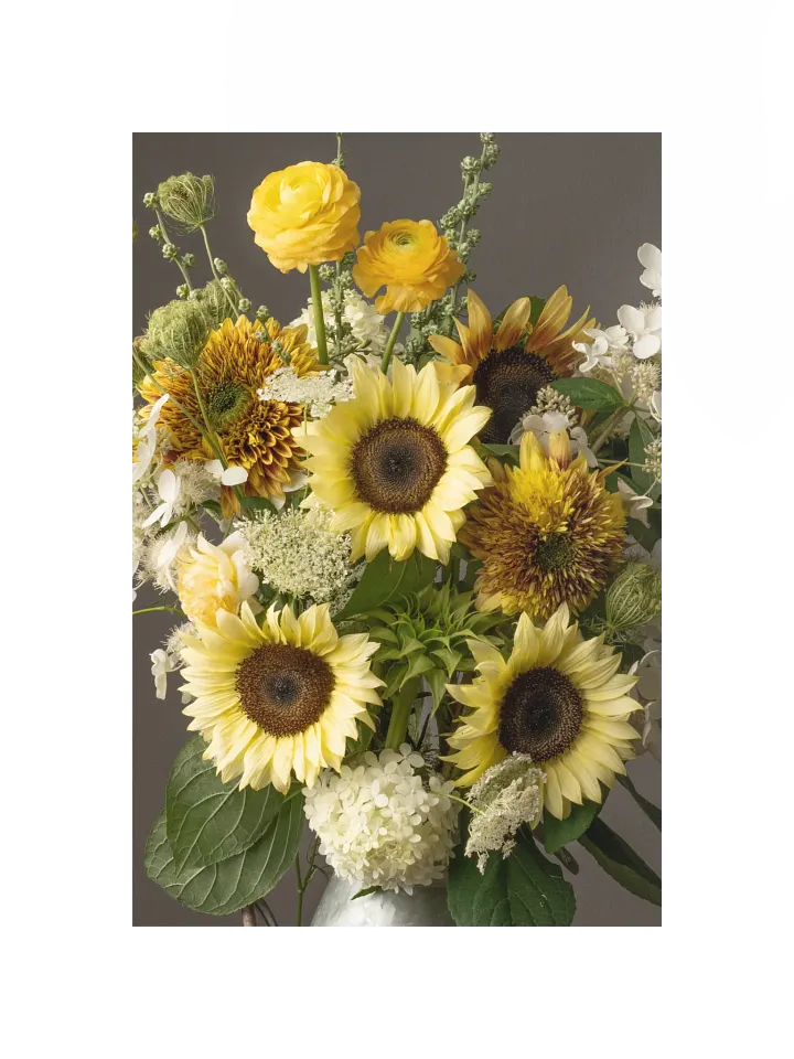 White Sunflower Summer product image (1)