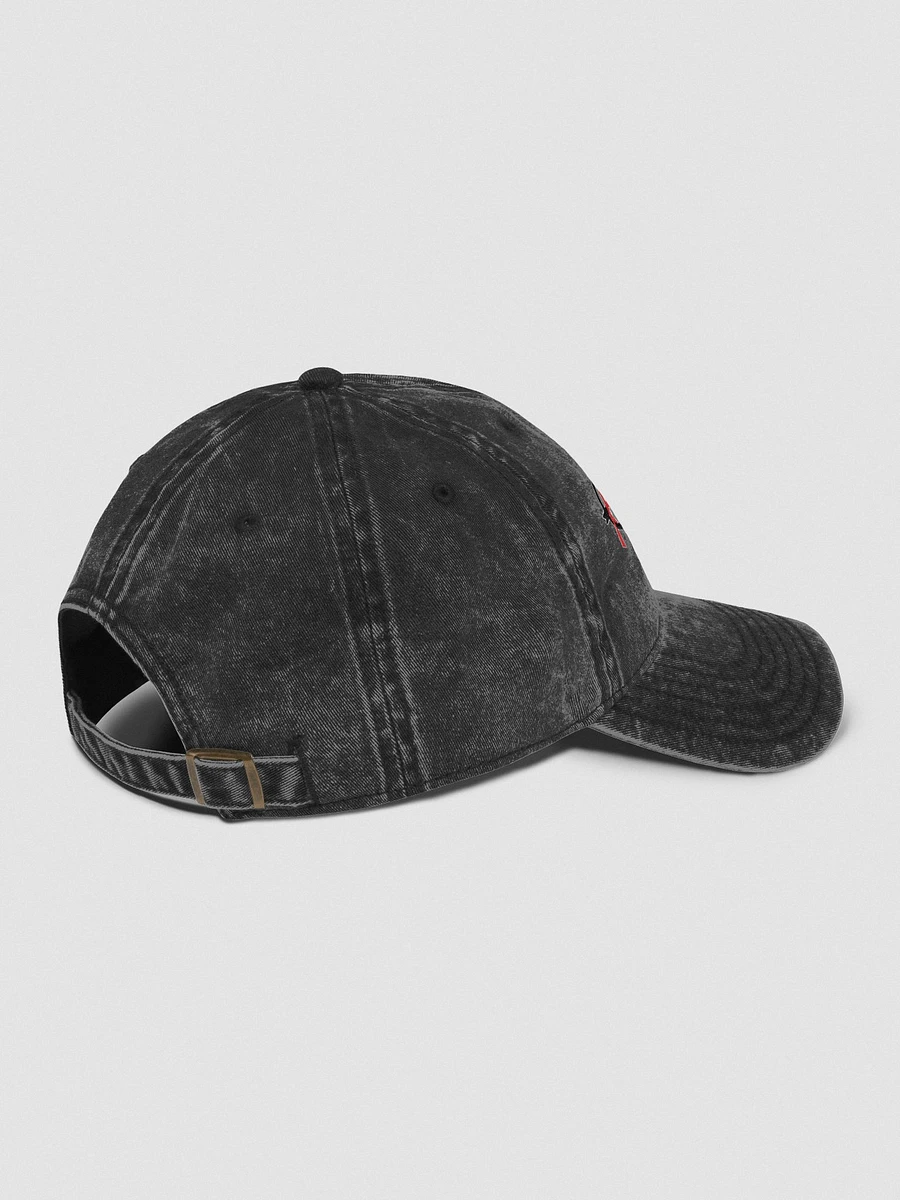 Allegedly (Vintage Wash Hat) product image (13)