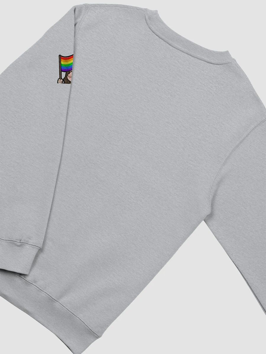 gaymer sweatshirt product image (4)
