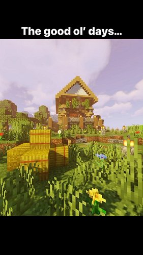 The good ol’ days indeed…

#c418 #edit #feels #feel #edits #vibes #minecraftmusic #minecraft #nostalgia #minecraftedit #life ...