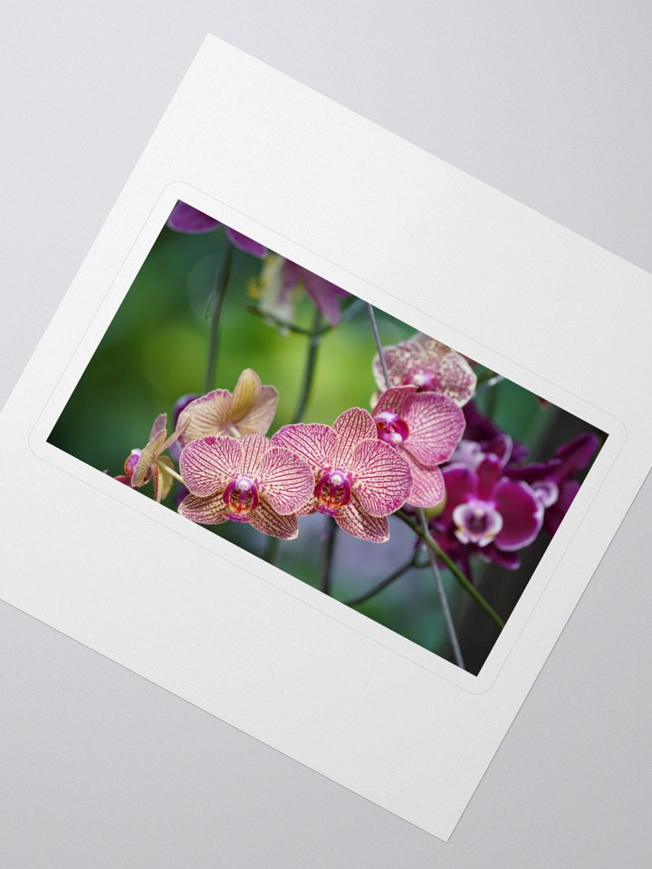 Orchid Dreams Kiss Cut Stickers product image (2)