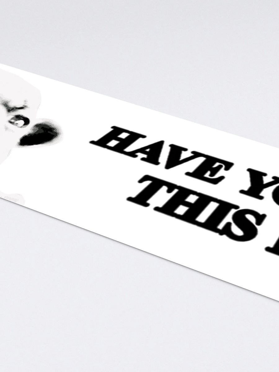 HAVE YOU SEEN THIS DOG BUMPER STICKER product image (4)