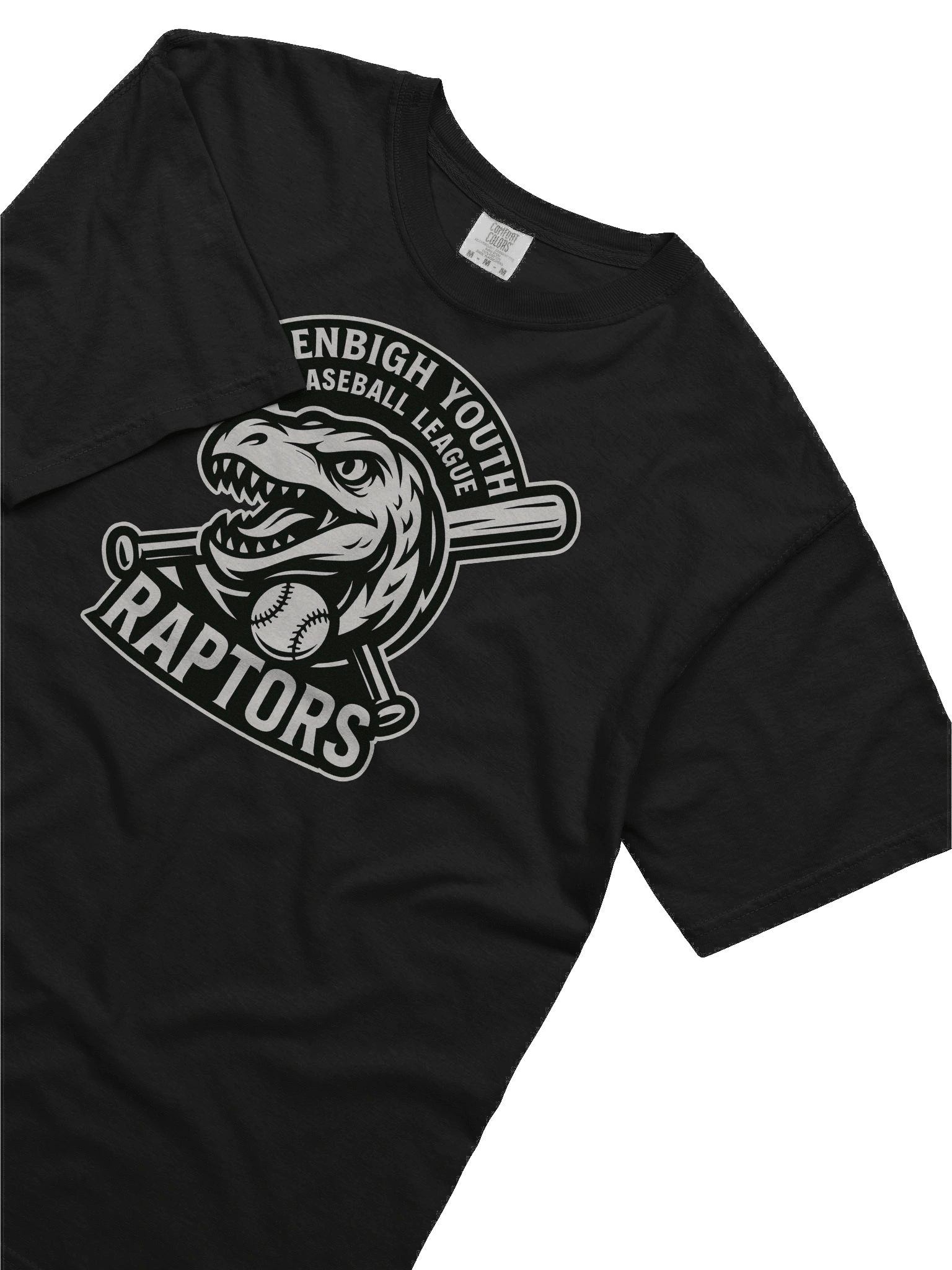 Raptors - Heavyweight T-shirt product image (43)