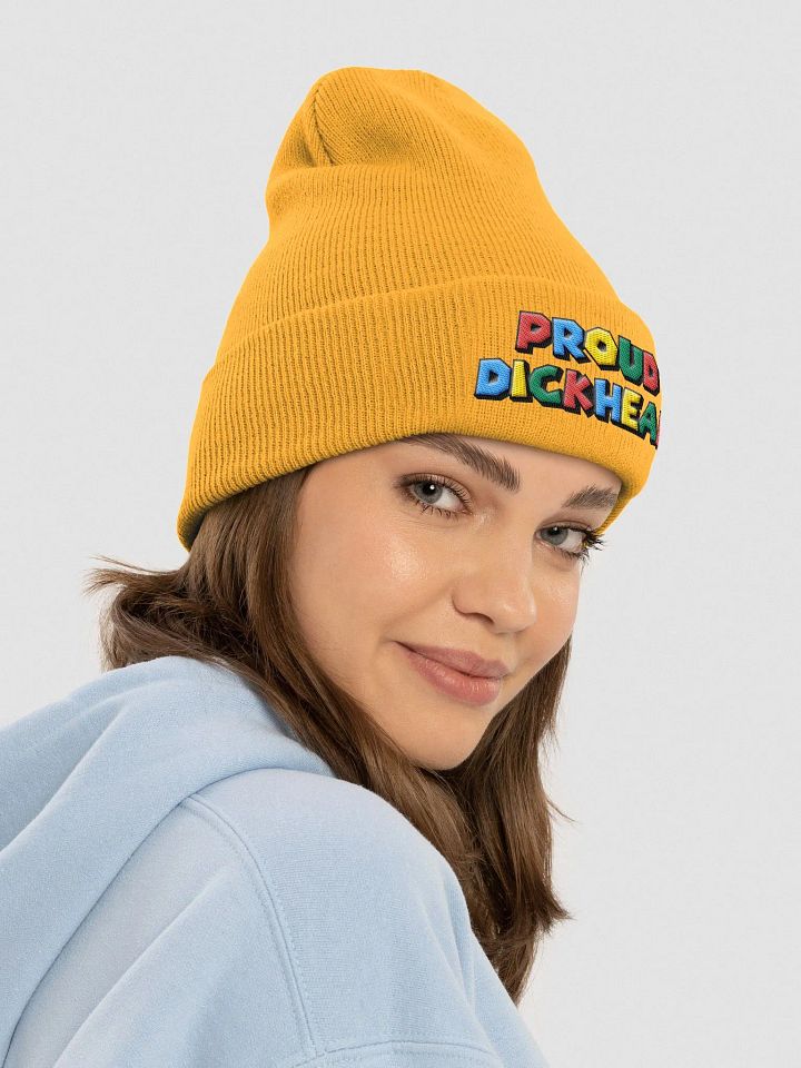 Proud Dickhead Embroidered Beanie product image (1)