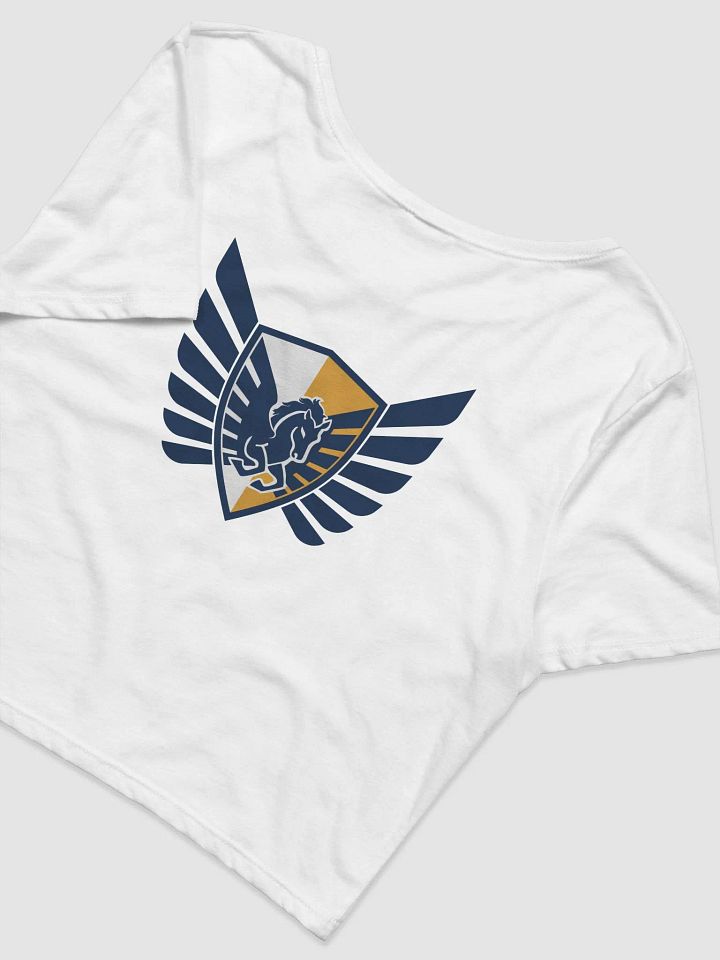 Nova Vitae Cropped Tee product image (2)